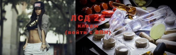 амф Печоры
