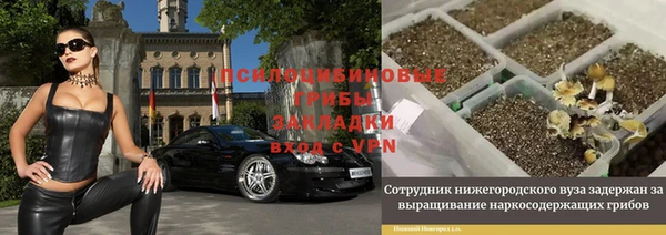 первитин Нея