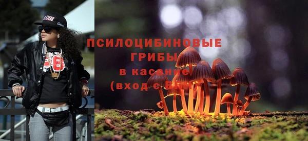 прущие грибы Нефтекумск