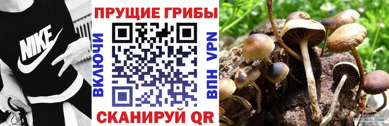 Псилоцибиновые грибы прущие грибы  Миасс 